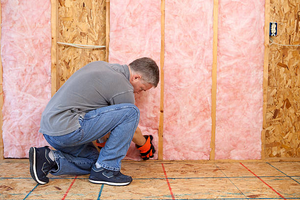 Best Local Insulation Services  in Allentown, PA