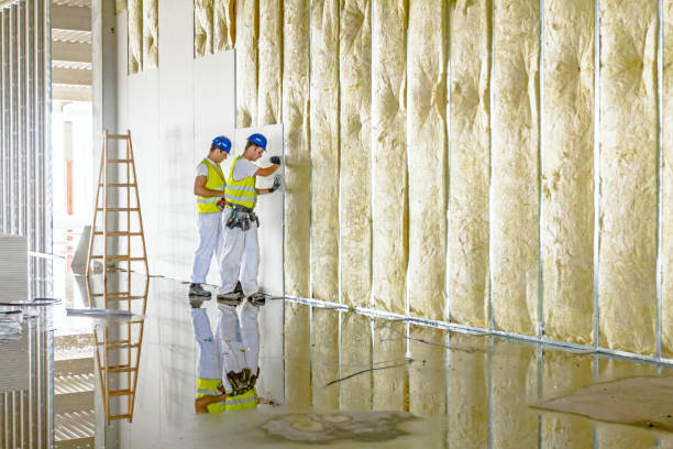 Insulation Replacement Services in Allentown, PA
